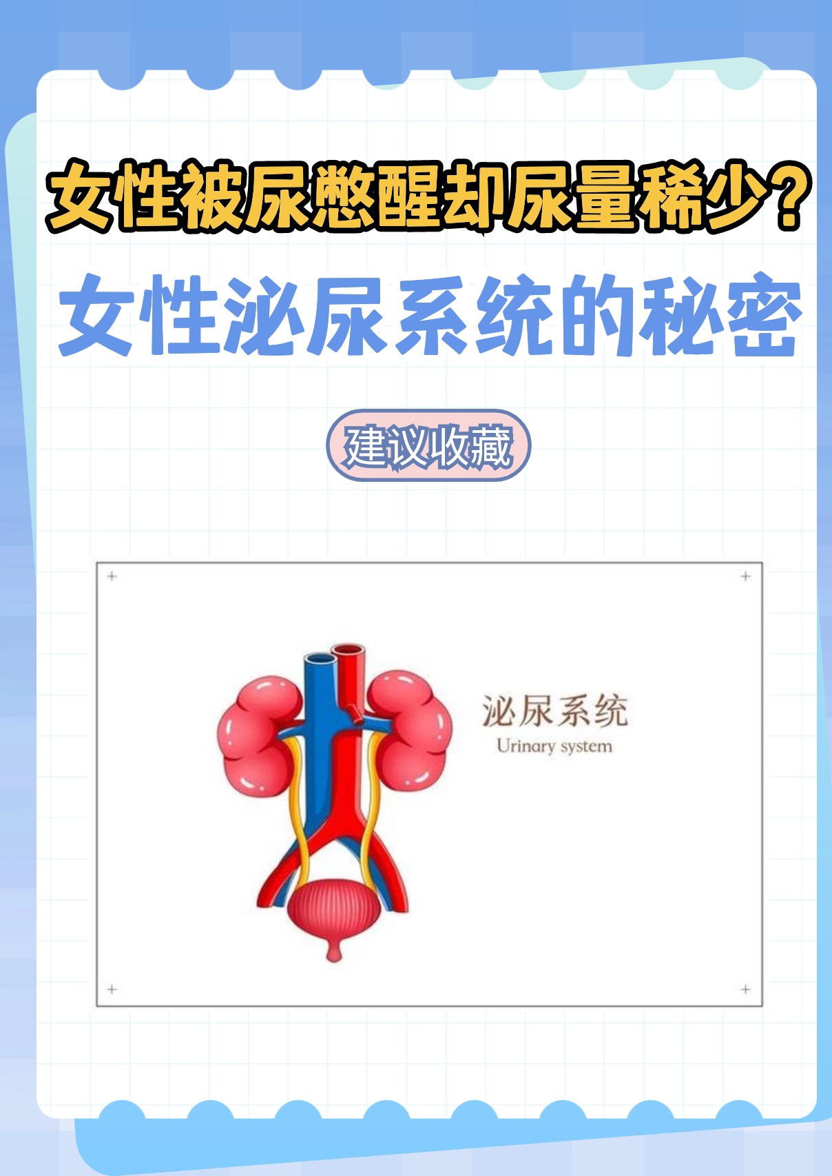 尿在肚子里无法排出，肉体的困扰与健康之谜