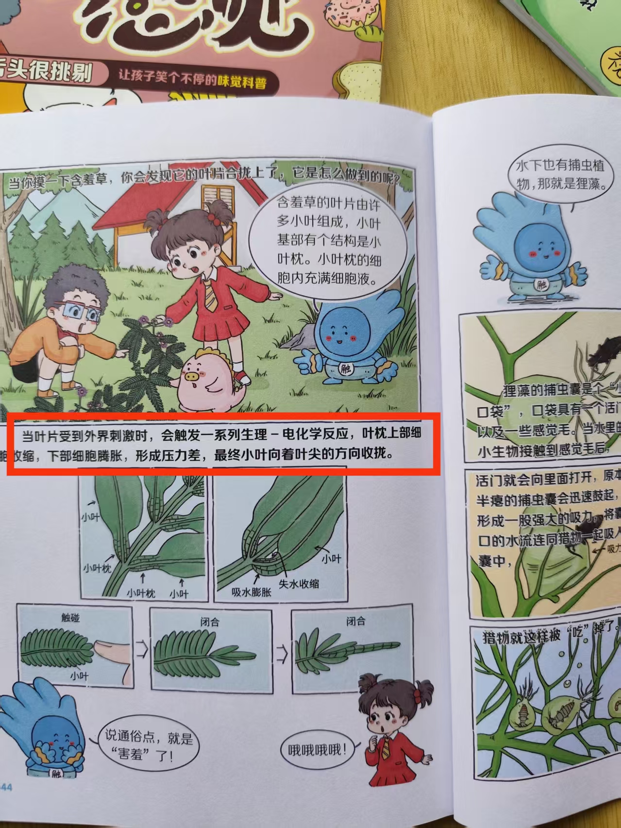 丝瓜、草莓、向日葵与秋葵的奇妙之旅——加油站里的生态故事-第2张图片