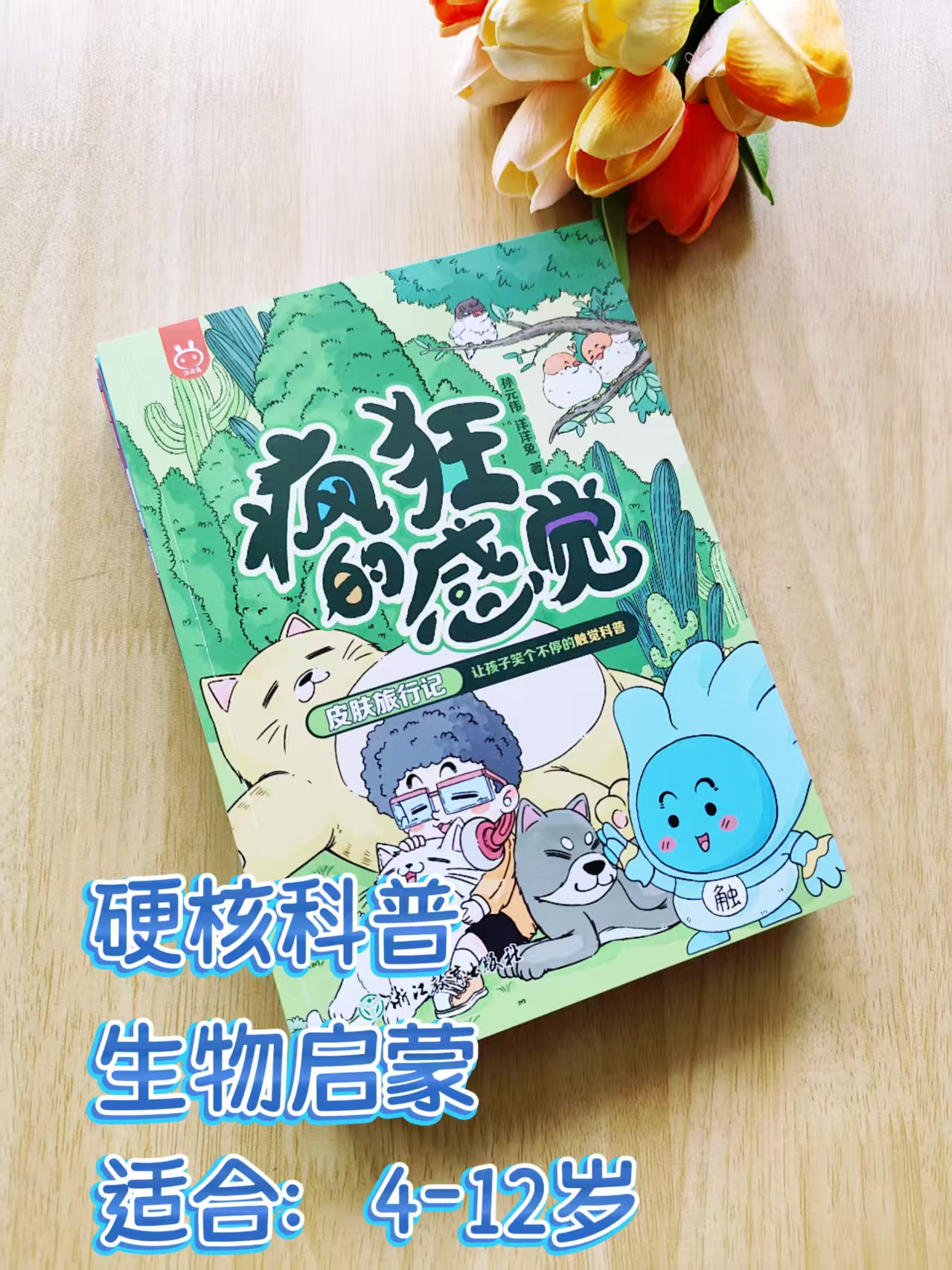 丝瓜、草莓、向日葵与秋葵的奇妙之旅——加油站里的生态故事-第3张图片