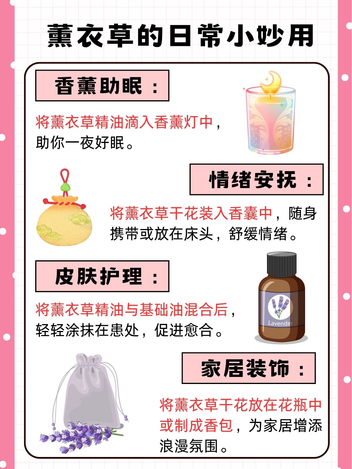 薰衣草在线观看免费版高清含羞草资源视频，探索自然界的奇妙现象-第2张图片