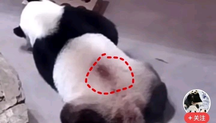他趴在两腿中间舔我私密有事吗关于个人隐私与健康安全的探讨，他趴在两腿中间舔你的私密部位是否合适？-第2张图片