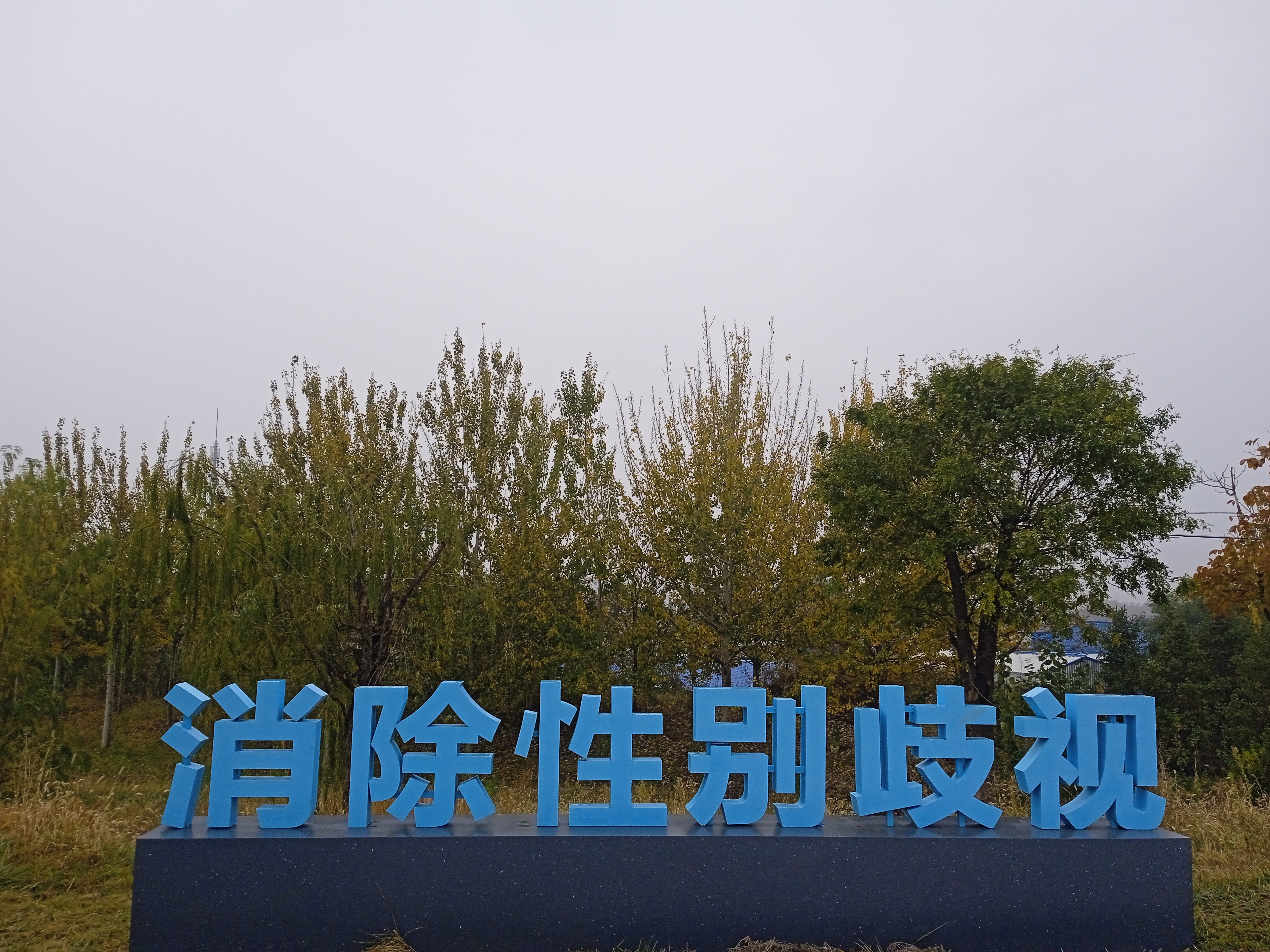 两性新闻两性新闻，探讨现代社会的性别平等与进步