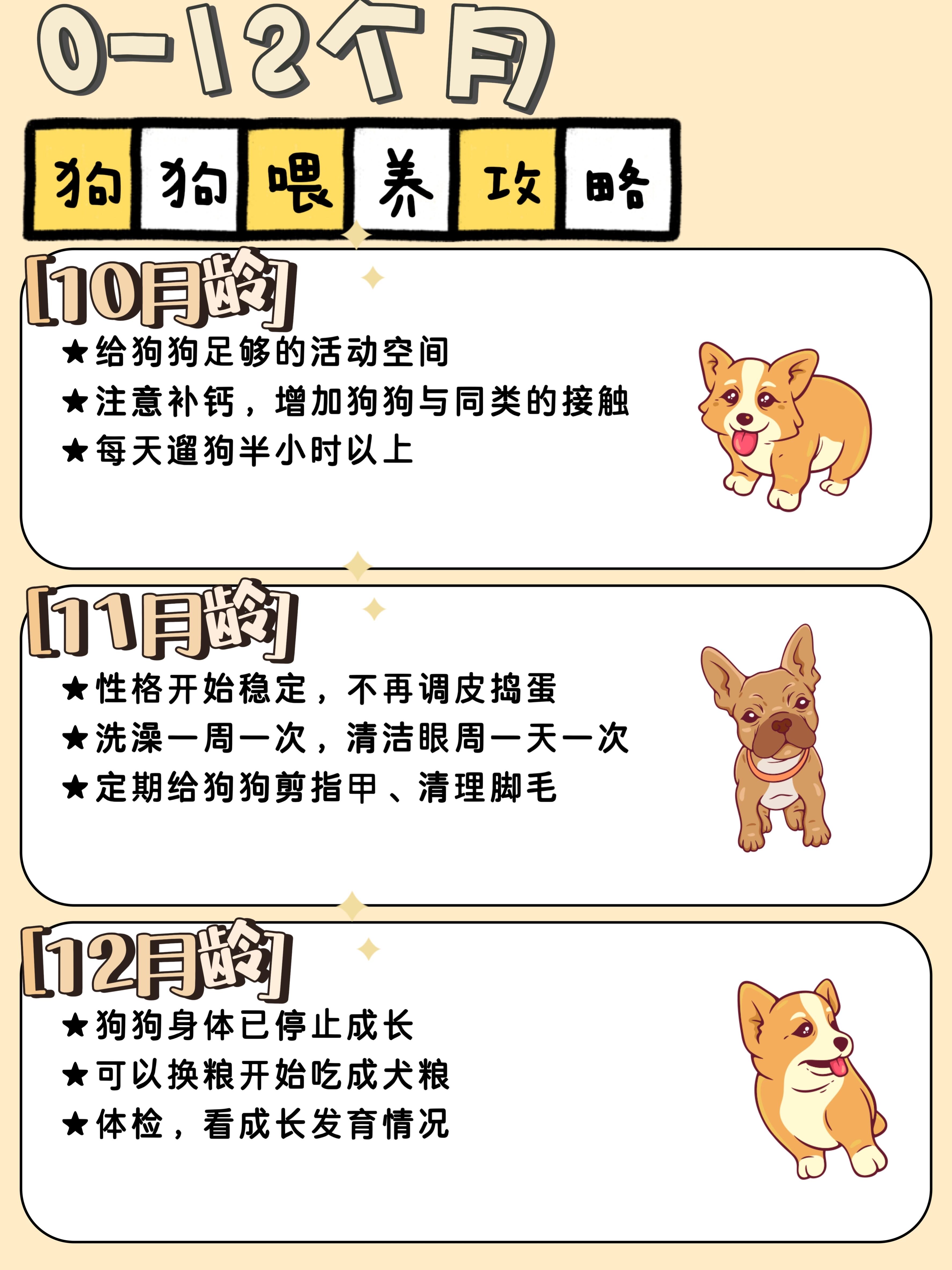 狗狗误入肠道，如何处理及拉出时间预估