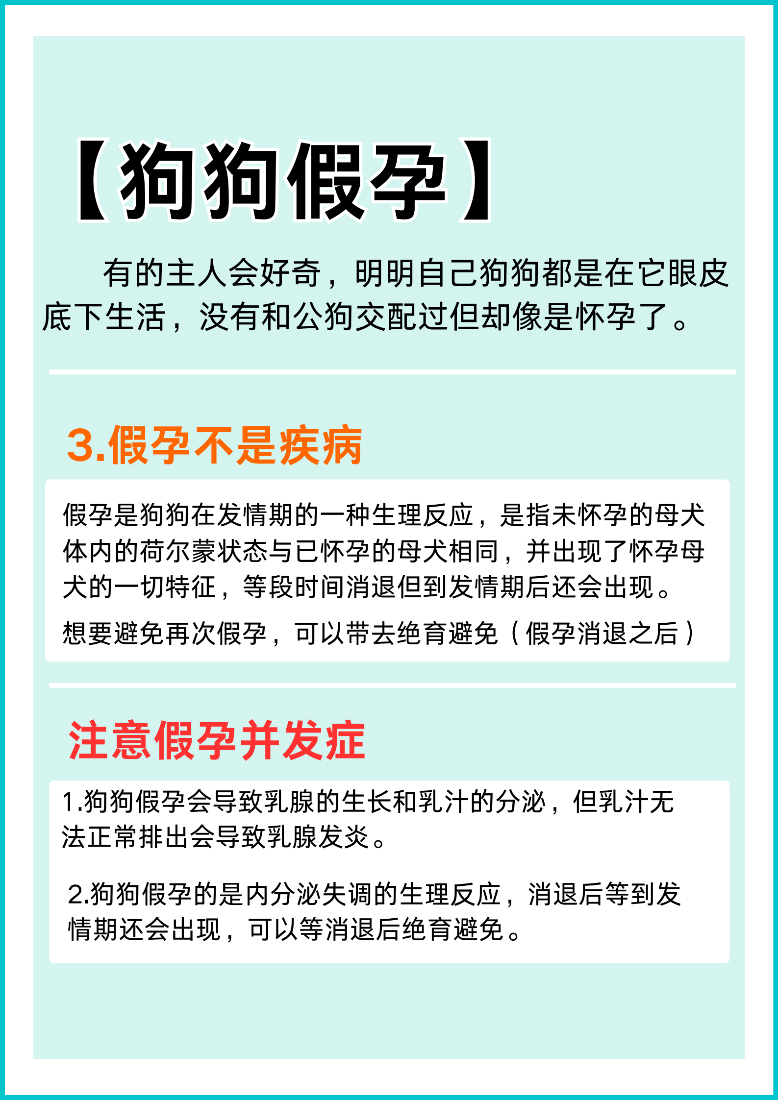 怎么进入狗狗的身体甲探索如何进入狗狗的身体甲