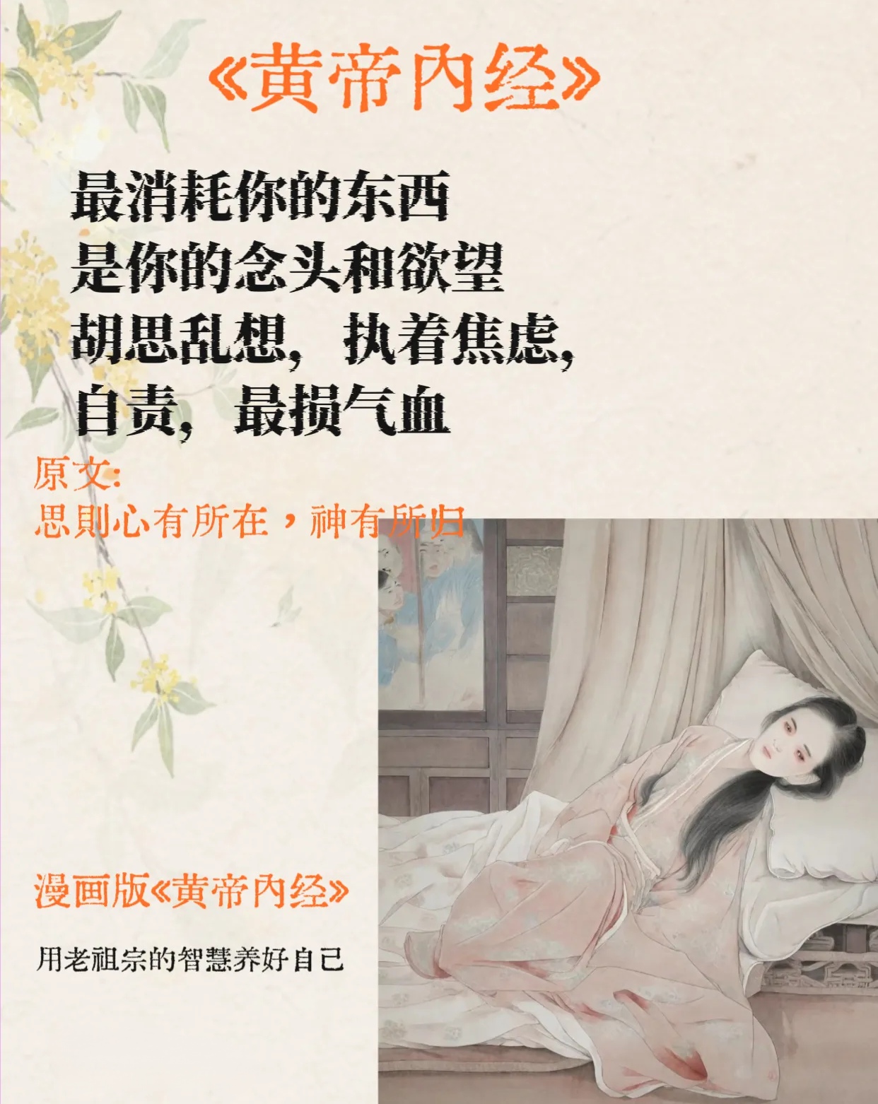 哪里有成人论坛探索网络世界，哪里有成人论坛？-第3张图片