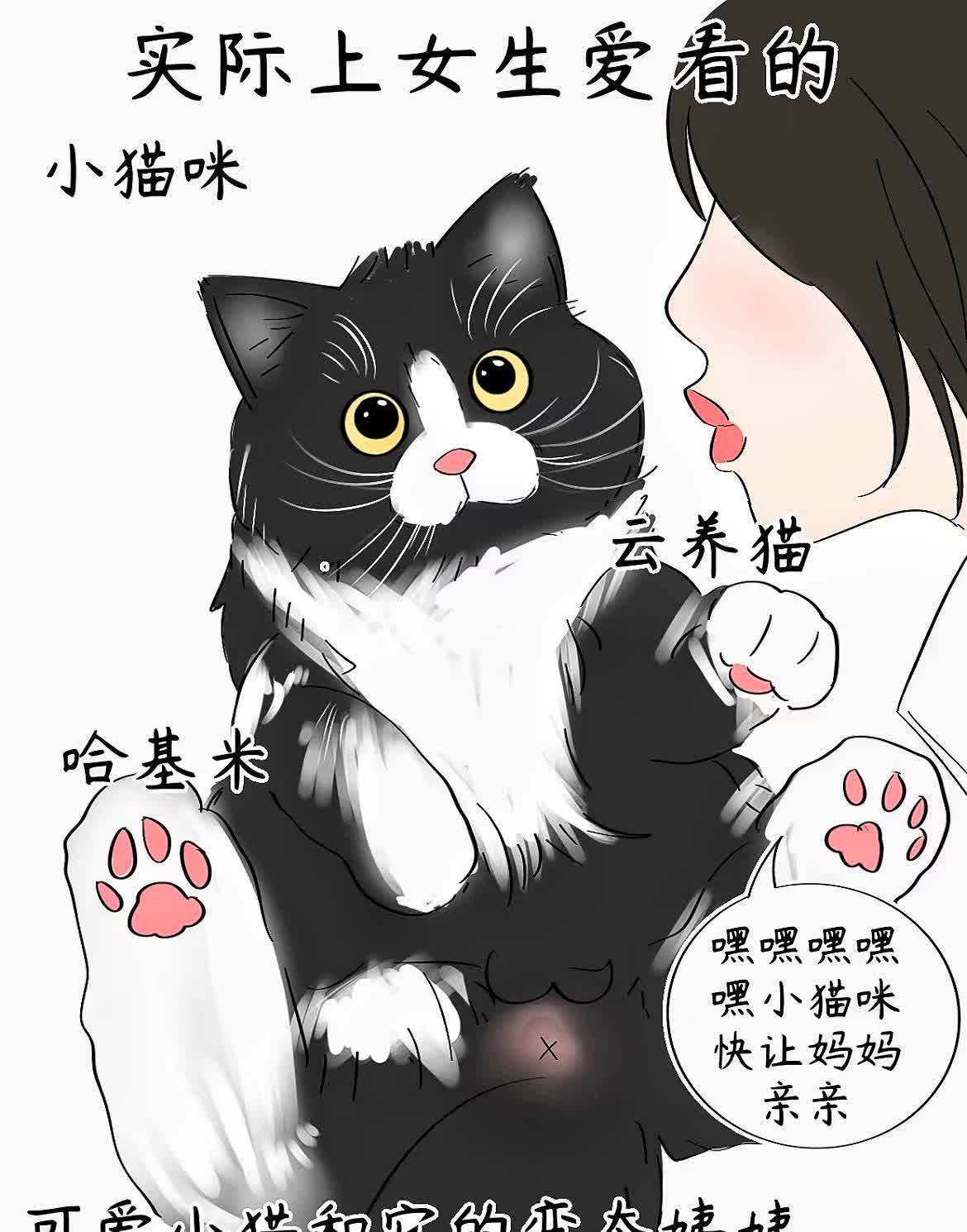 羞羞漫画免费登录页面入口详解