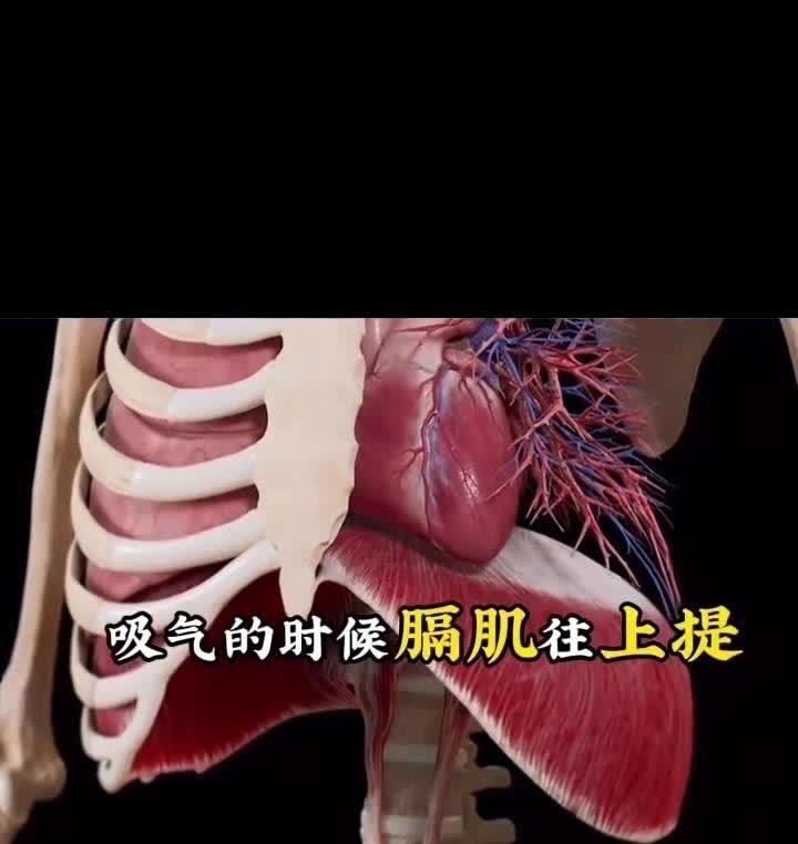 一边伸舌头一边快速喘气的背后秘密