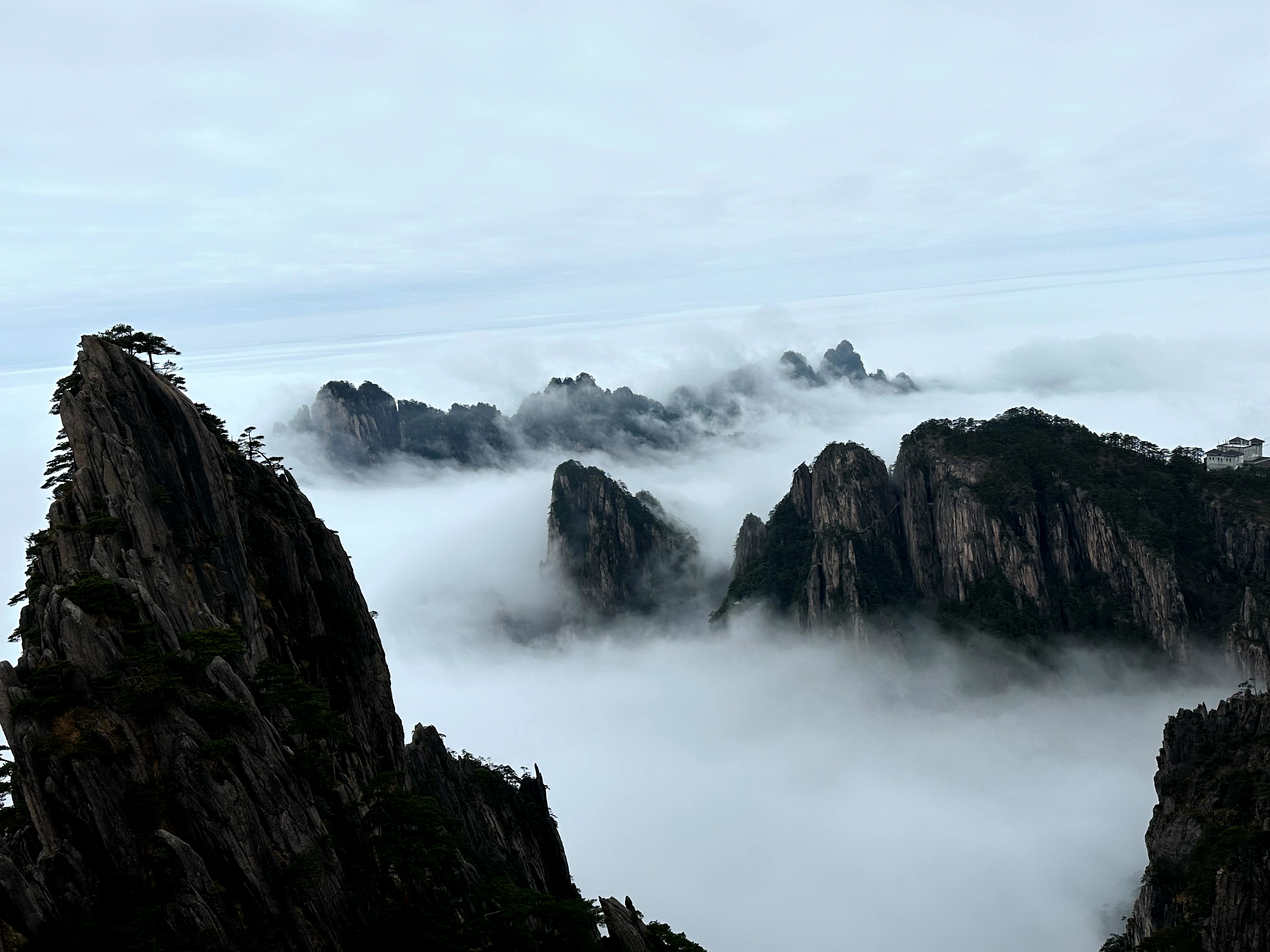 久久成熟德兴若自然矣翻译久久成熟之德，兴若自然矣