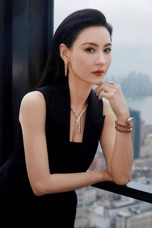 张柏芝美貌引起轰动张柏芝门照艳全集图片，深度解析与探讨