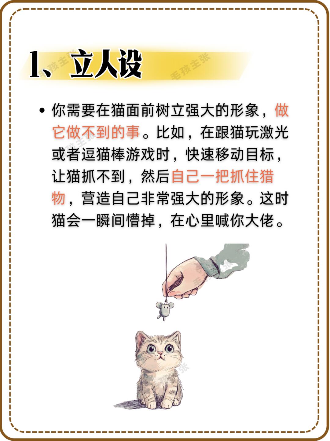 猫咪有约论坛没有了猫咪有约论坛——爱猫人士的交流圣地-第1张图片