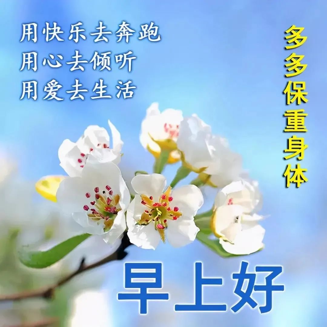 夜间正能量网站入口不用下载免费夜间正能量，无需下载的免费网站入口探索-第2张图片