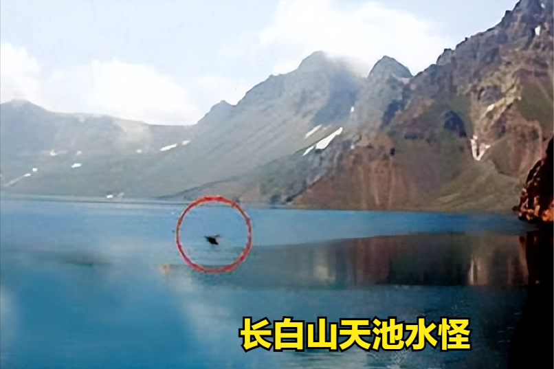 尼斯湖水怪之谜揭秘水怪之谜，探寻神秘水生生物的真相-第2张图片