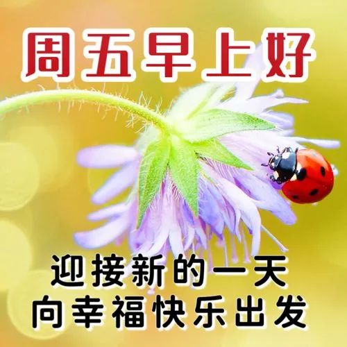 免费正能量软件，点亮你网站生活的明灯-第1张图片