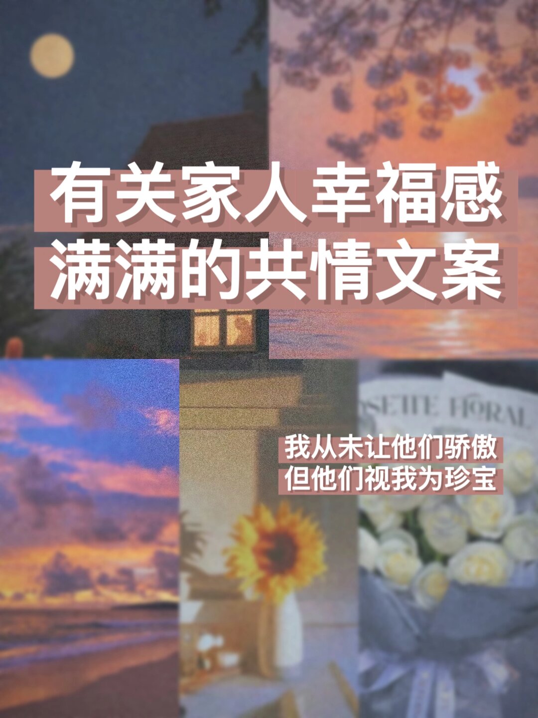 暖暖视频免费社区，共享欢乐，温暖你我-第3张图片