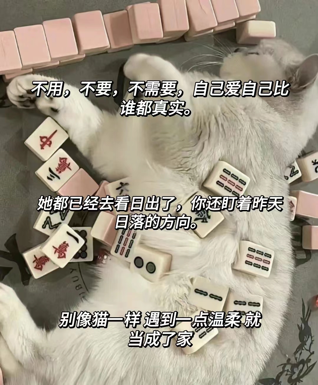 一次又一次的索取你只能是我的视频一次又一次的索取，你只能是我的