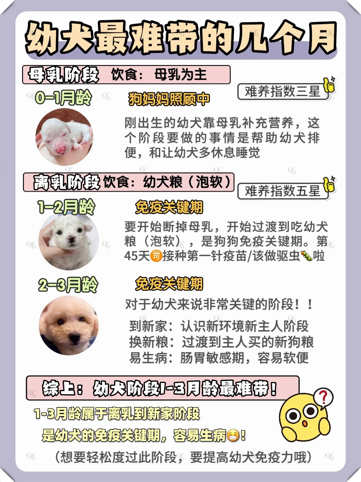 狗狗的又大又烫狗狗的又大又烫的秘密-第1张图片
