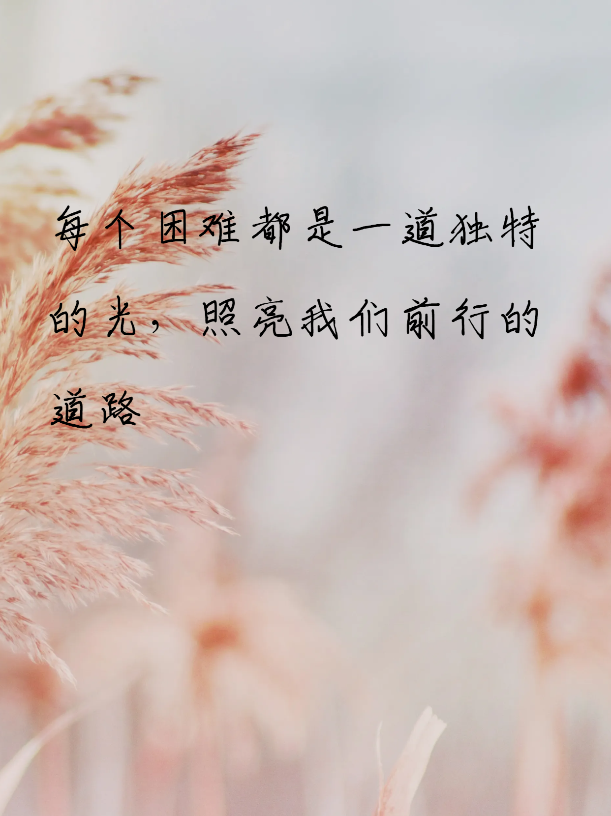 博九博九之路，探索与成长的旅程