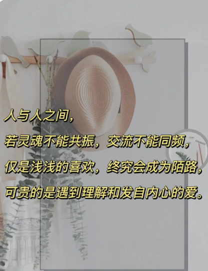 阳光地带交友阳光地带交友，寻找心灵的温暖与共鸣-第2张图片
