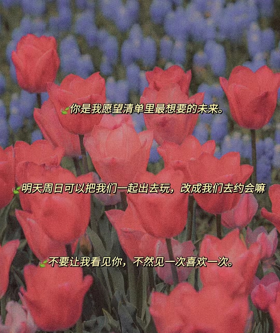晚上偷偷看B站晚上偷偷着深夜的秘密，我的B站偷看经历-第2张图片
