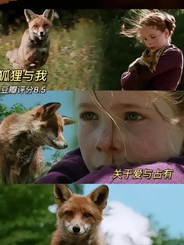 4399影视在线观看免费高清4399影视，在线观看免费高清影视的绝佳选择