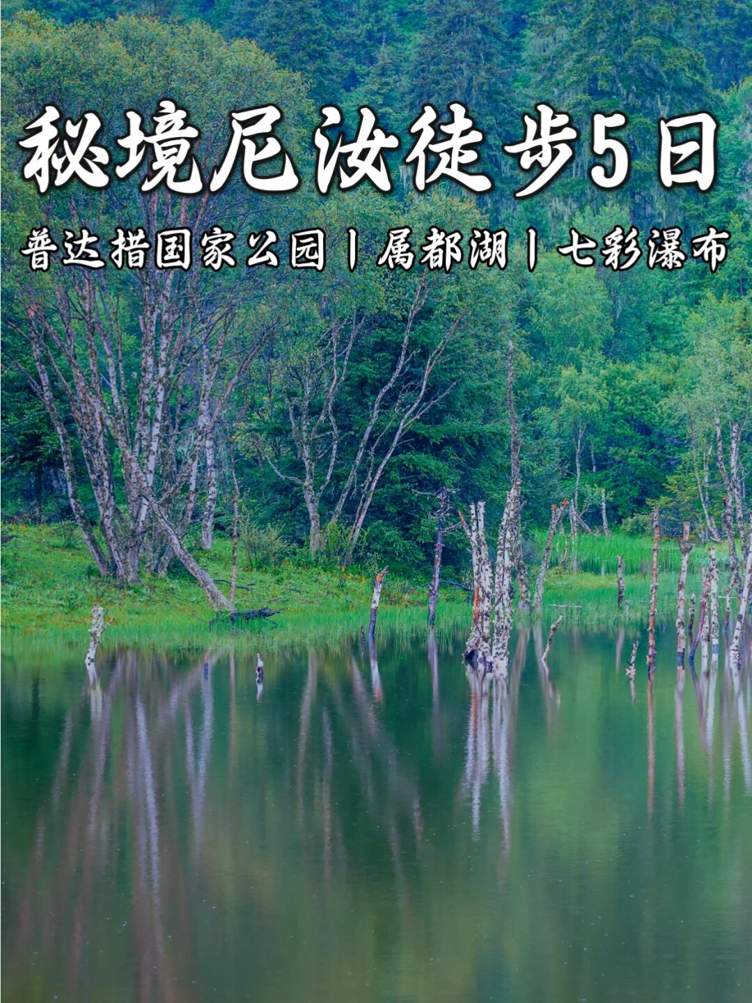 a天堂v探索神秘之境，A天堂的启示