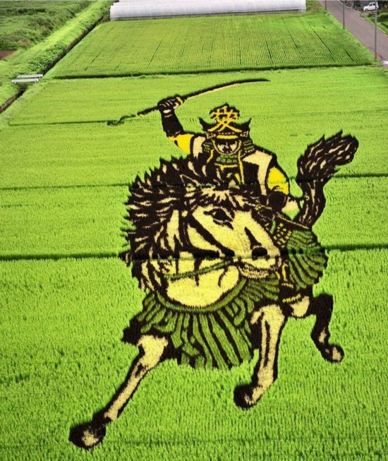 日本十八禁无遮拦啪啪漫画日本十八禁无遮拦漫画，深度探讨与文化背景