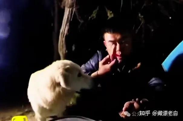 怎么进入狗狗的身体甲探索未知的旅程，如何进入狗狗的身体甲