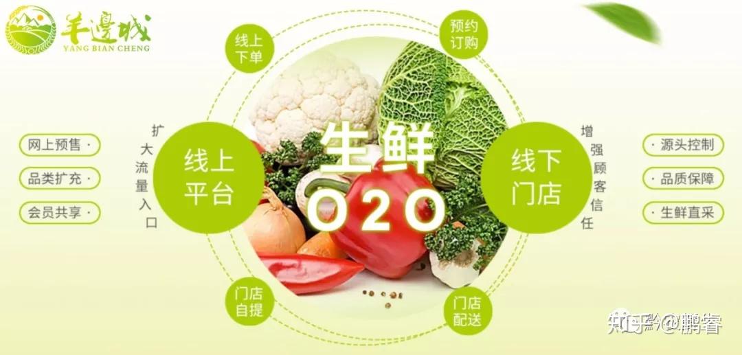有机网站入口有机zz.com新网站，绿色生活的新起点-第3张图片