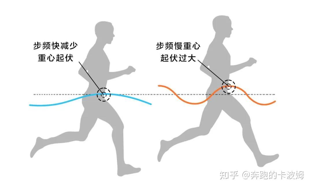 精英控制者精英控制者的力量与智慧