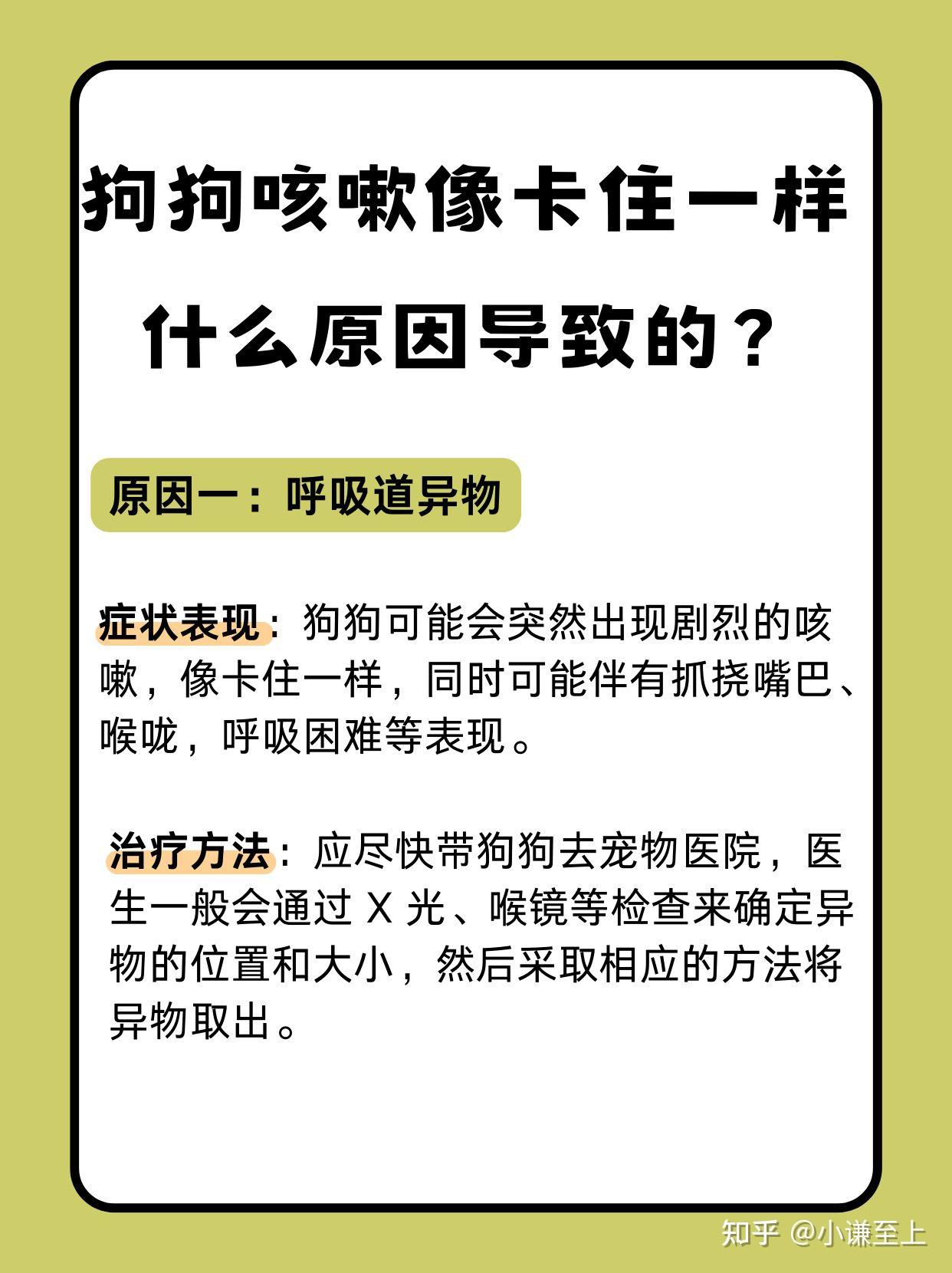狗狗的大东西遭遇困境，一次难忘的卡住经历-第3张图片