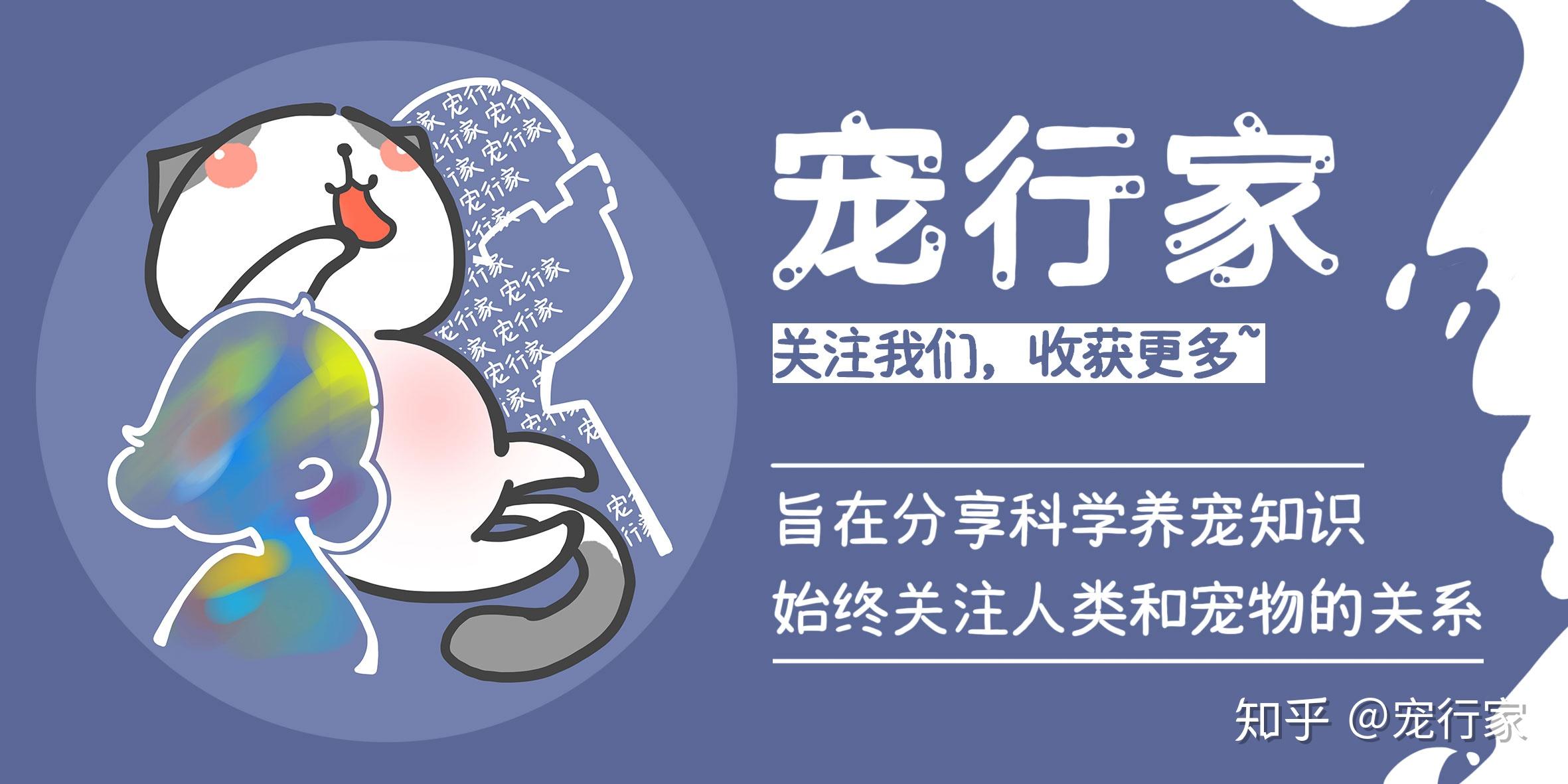 男生说捅爆你的甜甜圈男生说捅爆你的甜甜圈的背后含义与解析