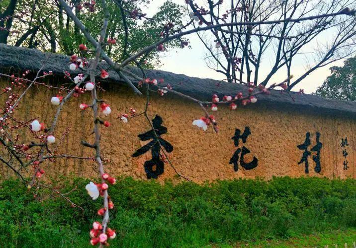 杏花直播平台下载安装免费观看杏花直播平台，畅享免费下载与安装的全新体验