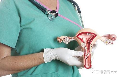 直人实女处被破www视频日本直面真实，网络上的直人实女处被破的WWW视频现象
