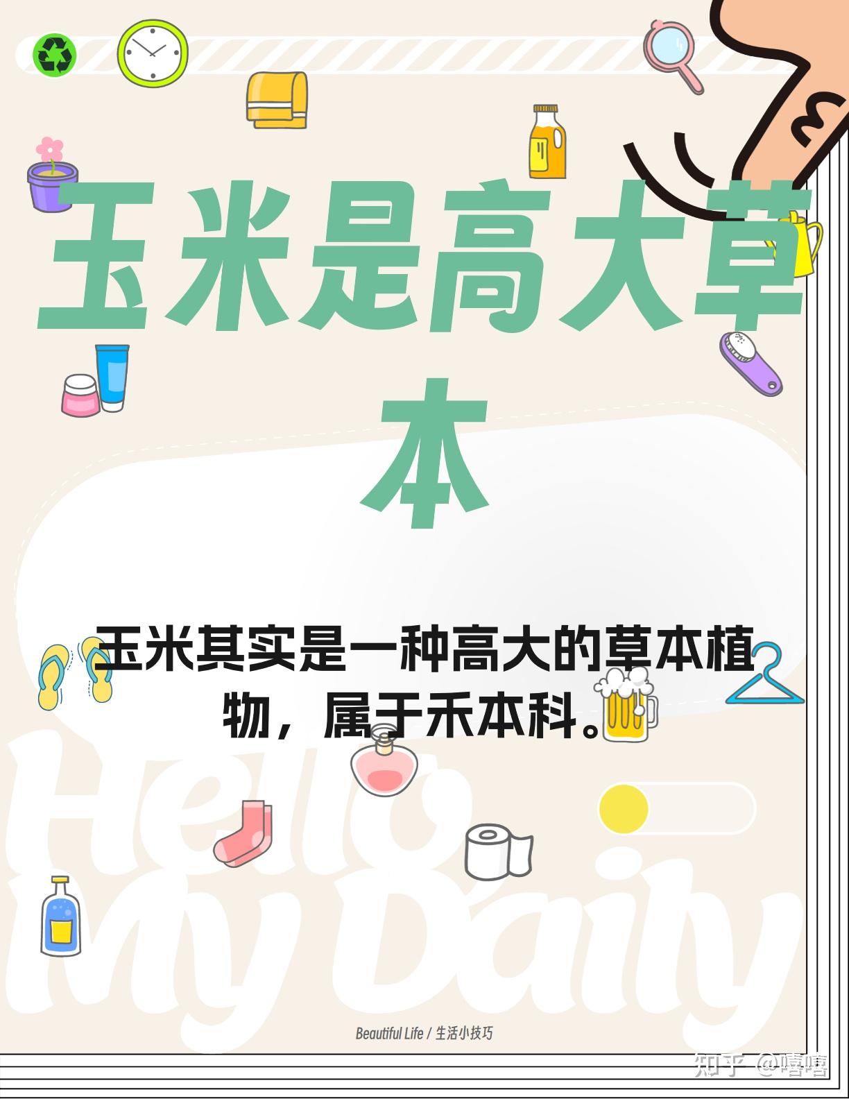 免费蘑菇成品人视频软件下载免费蘑菇成品人视频软件下载的探索与警示