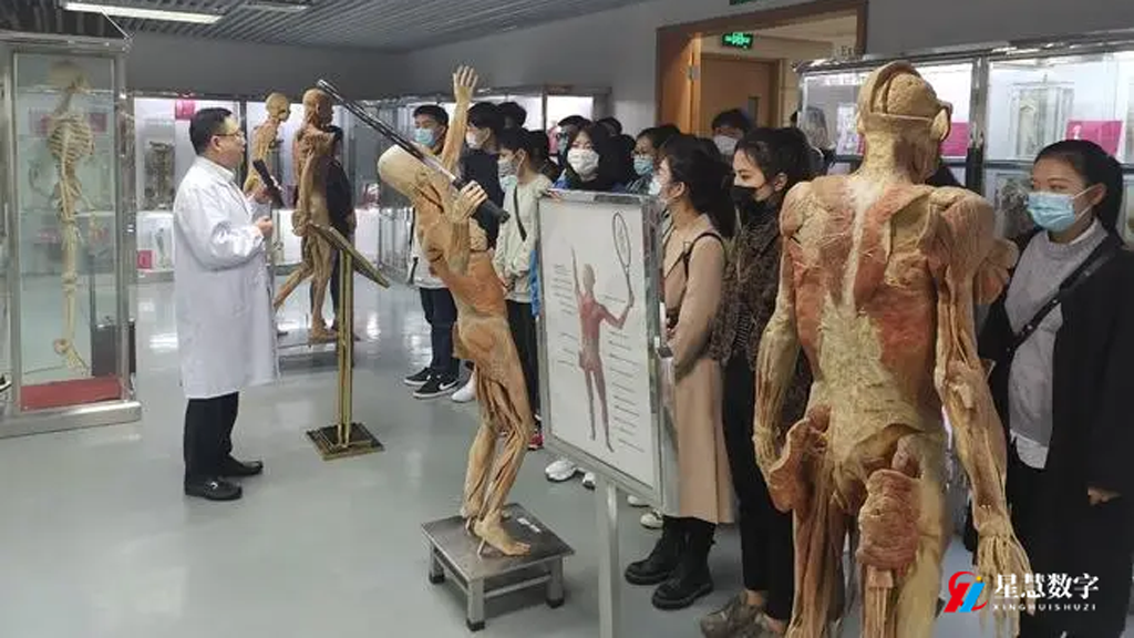 真人去掉衣服软件，技术进步下的伦理探讨