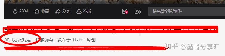 开车视频有声音超疼APP的深度解析与探讨