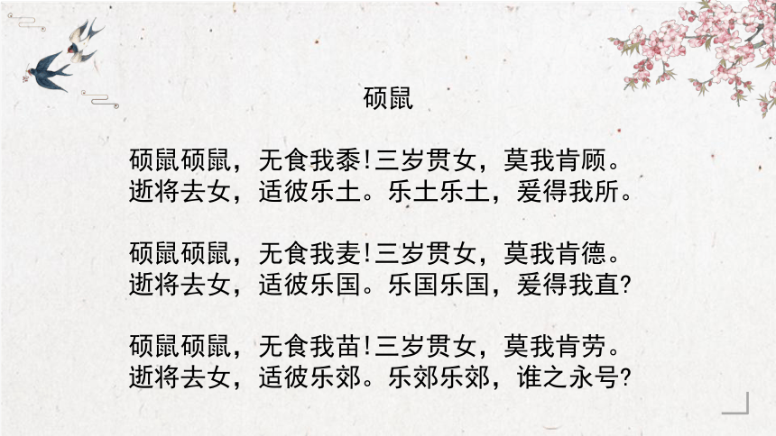 窈窕淑女观后感ppt图片窈窕淑女观后感——从影片到PPT图片的深度解析-第1张图片