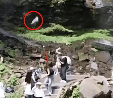 美女遭遇不测，一场悲剧的背后-第3张图片