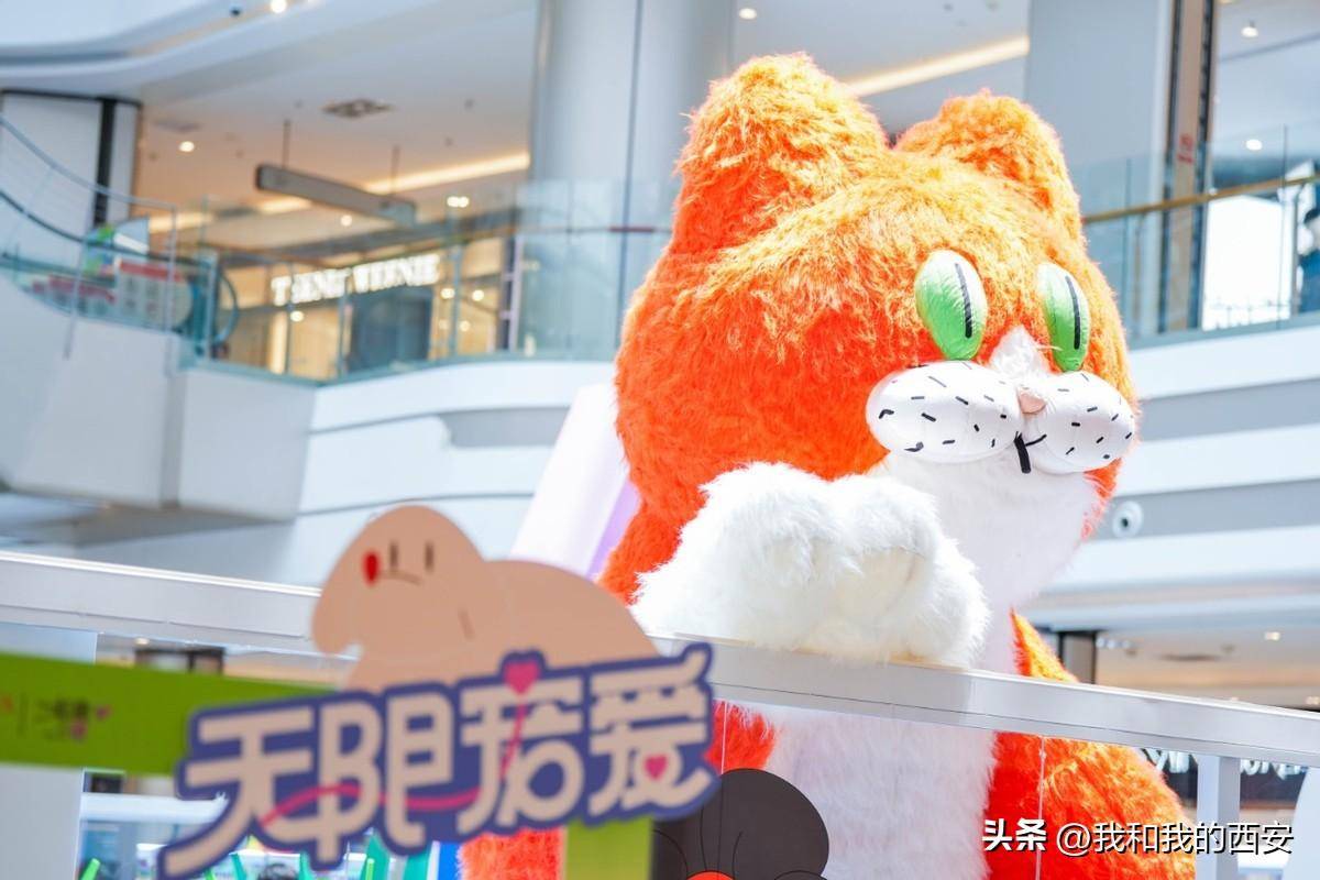 撸撸撸网撸撸撸网，网络时代的娱乐新宠
