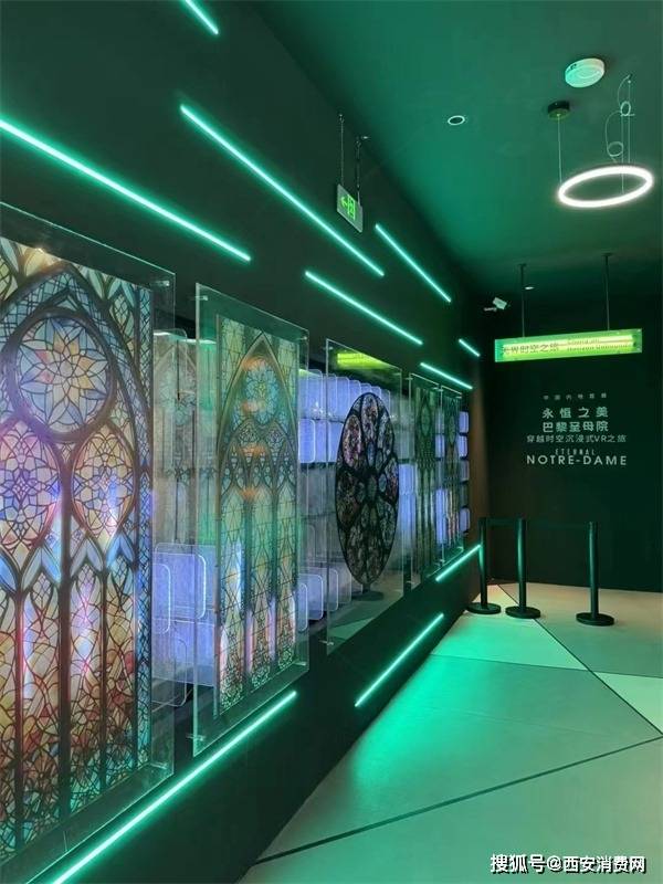 仙踪林视频最新入口，探索自然之美的全新体验-第2张图片