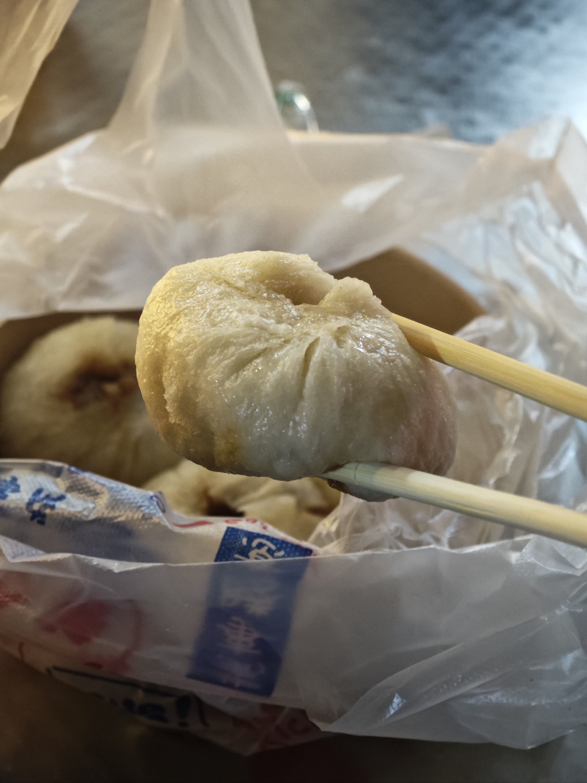 小包子的魅力之旅