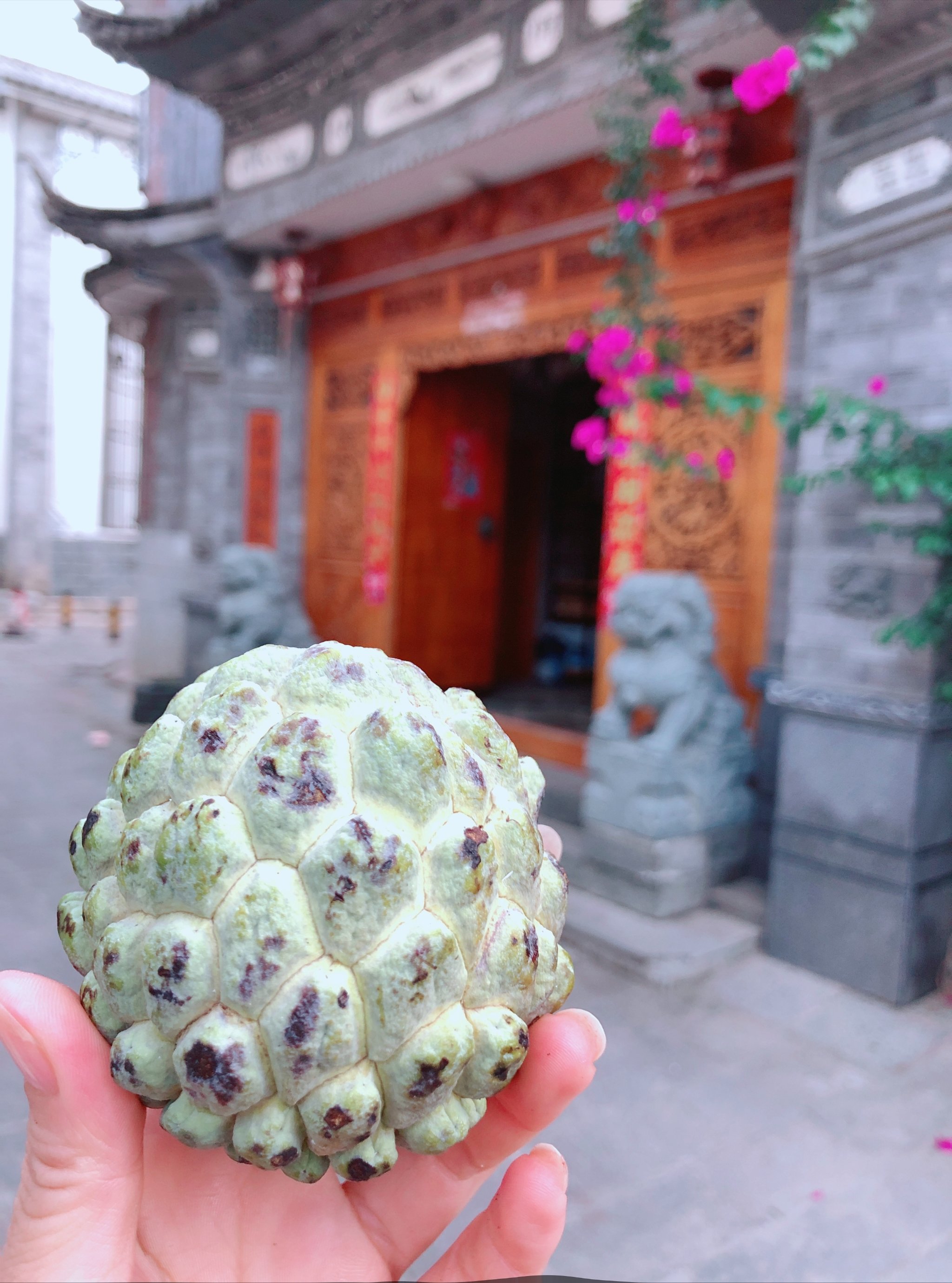 悠悠在线观看精品视频悠悠在线，尽享精品视频之旅-第2张图片