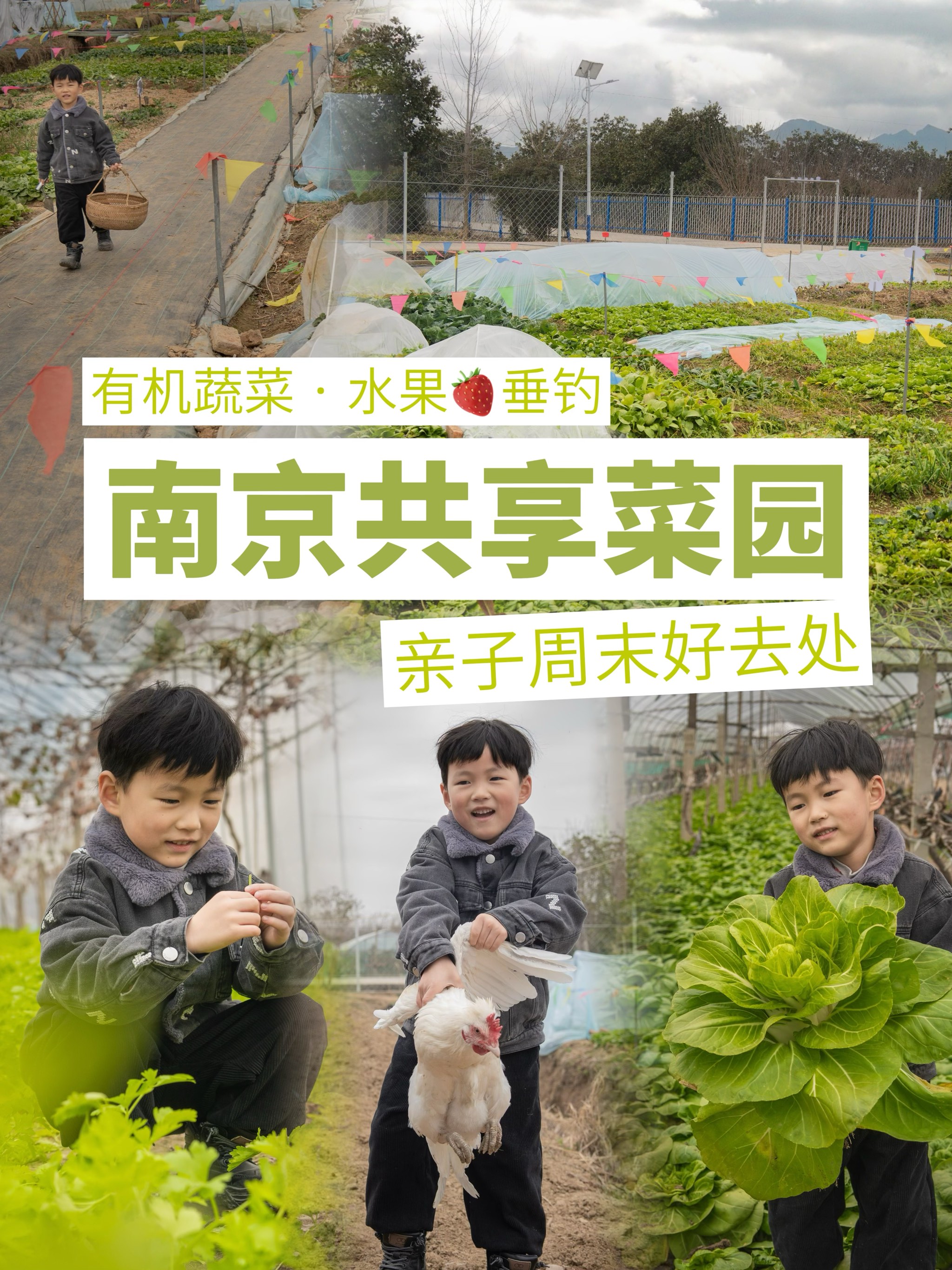 qq农场官方QQ农场官方，打造你的虚拟农场世界