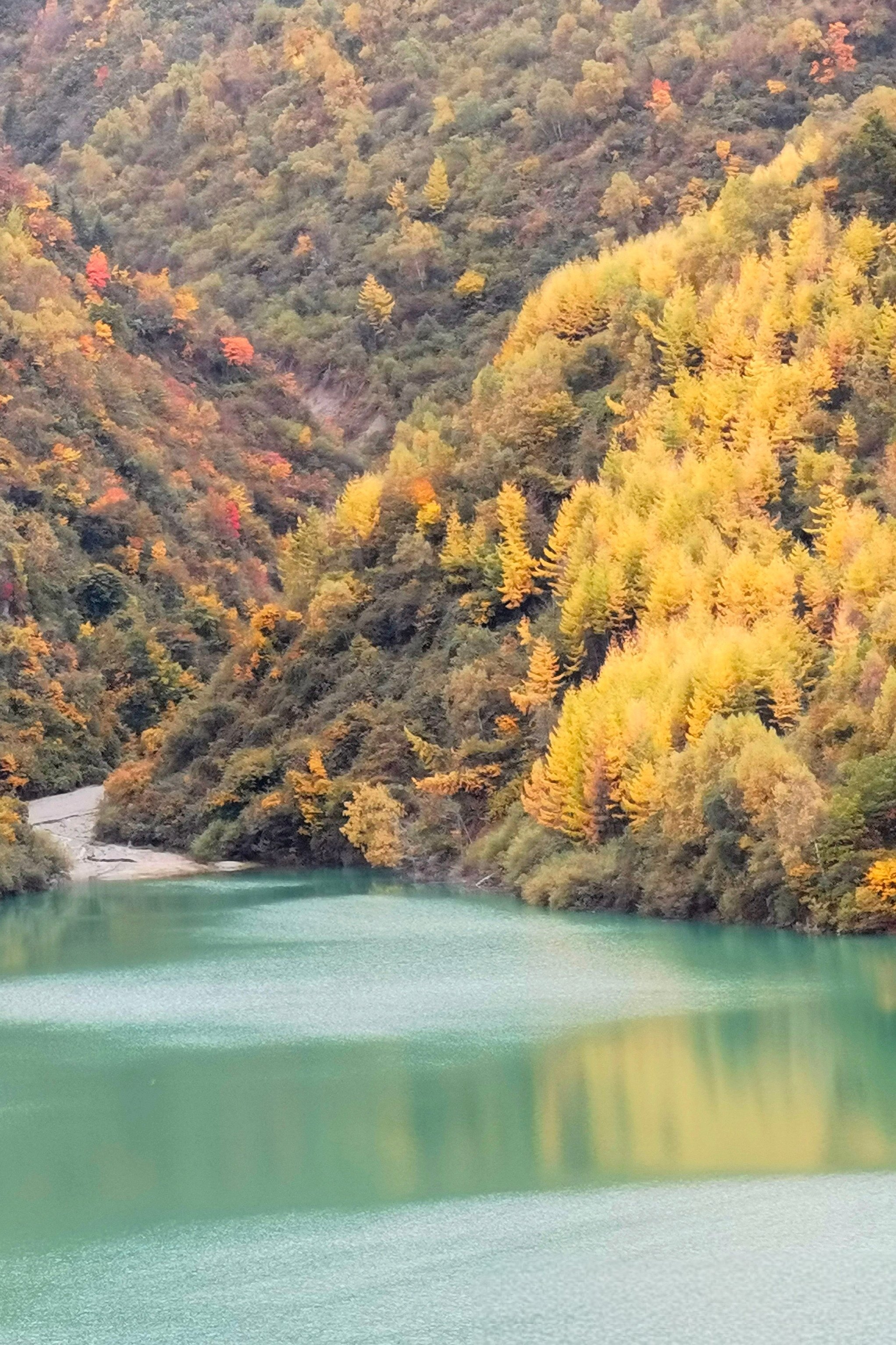 挪威的森林截了一小段做运动挪威森林的微缩之旅，一段独特的运动体验-第1张图片
