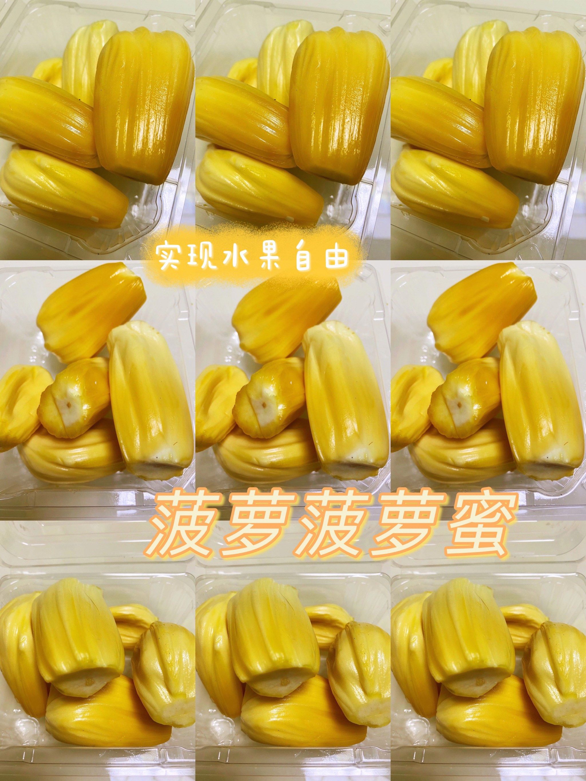 菠萝菠萝菠萝蜜视频观看4探索菠萝菠萝蜜视频的魅力之旅——4399平台体验记