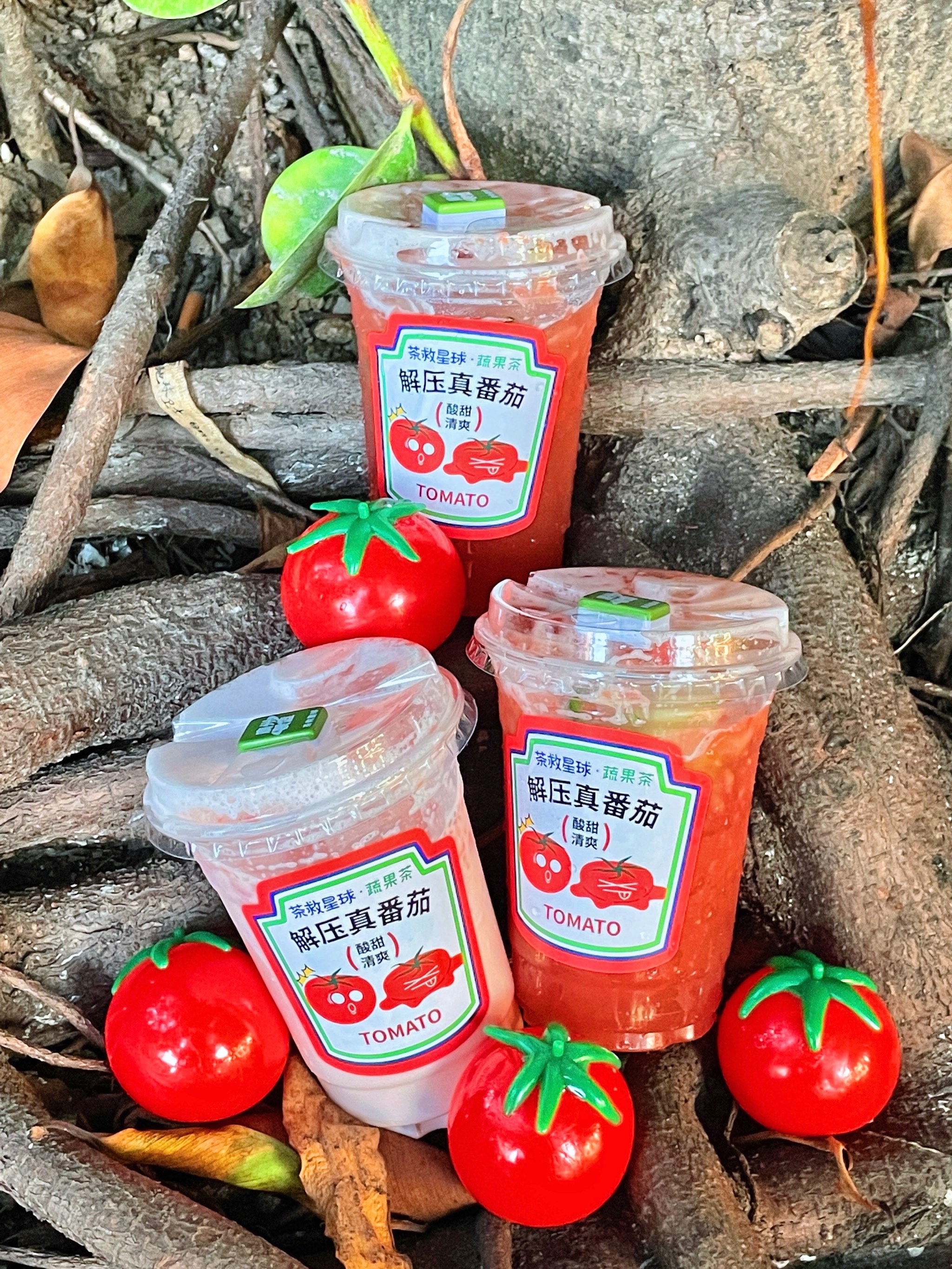 番茄.cn探索网络新世界——番茄手机网