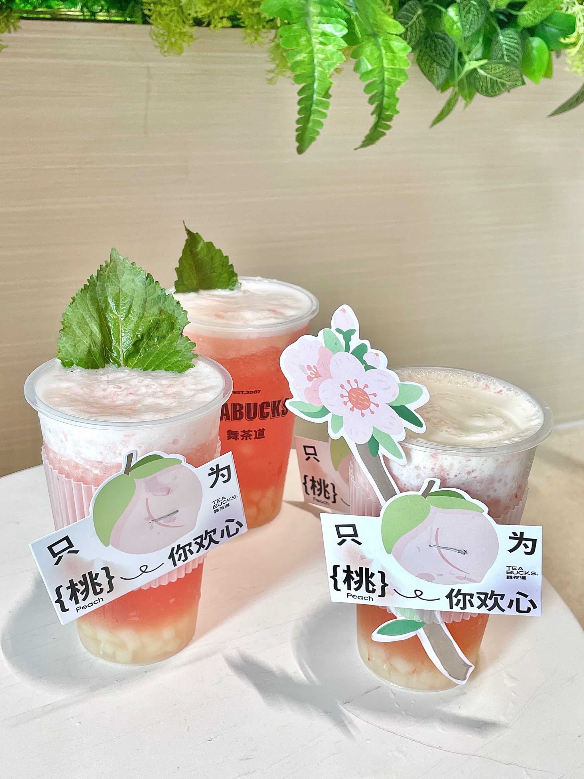 苏桃——一段甜蜜的果实之旅-第3张图片