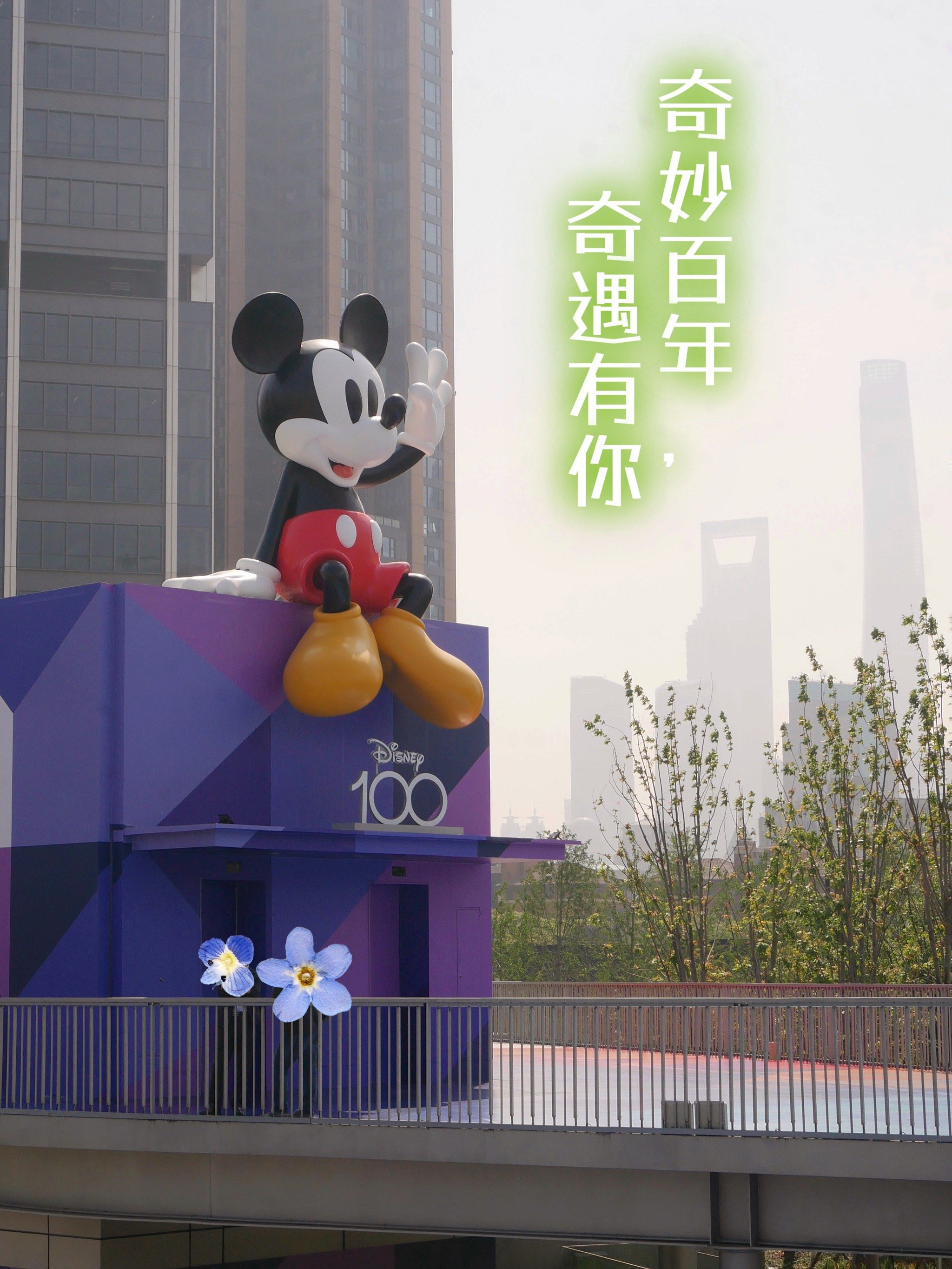两只巨大兔子意外蹦出，引发奇妙世界的新奇遇