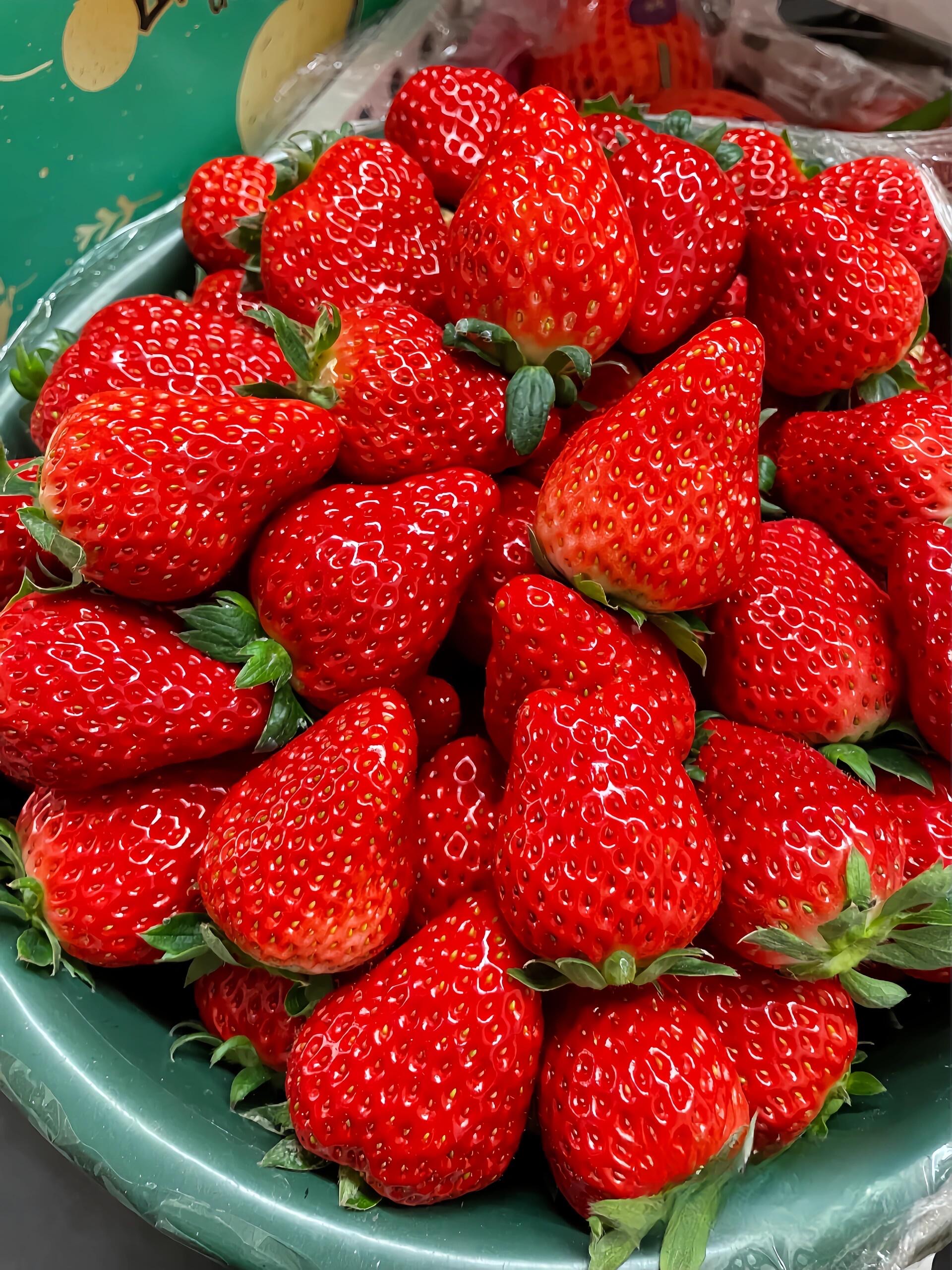 在线永久免费的视频草莓在线永久免费观看草莓视频