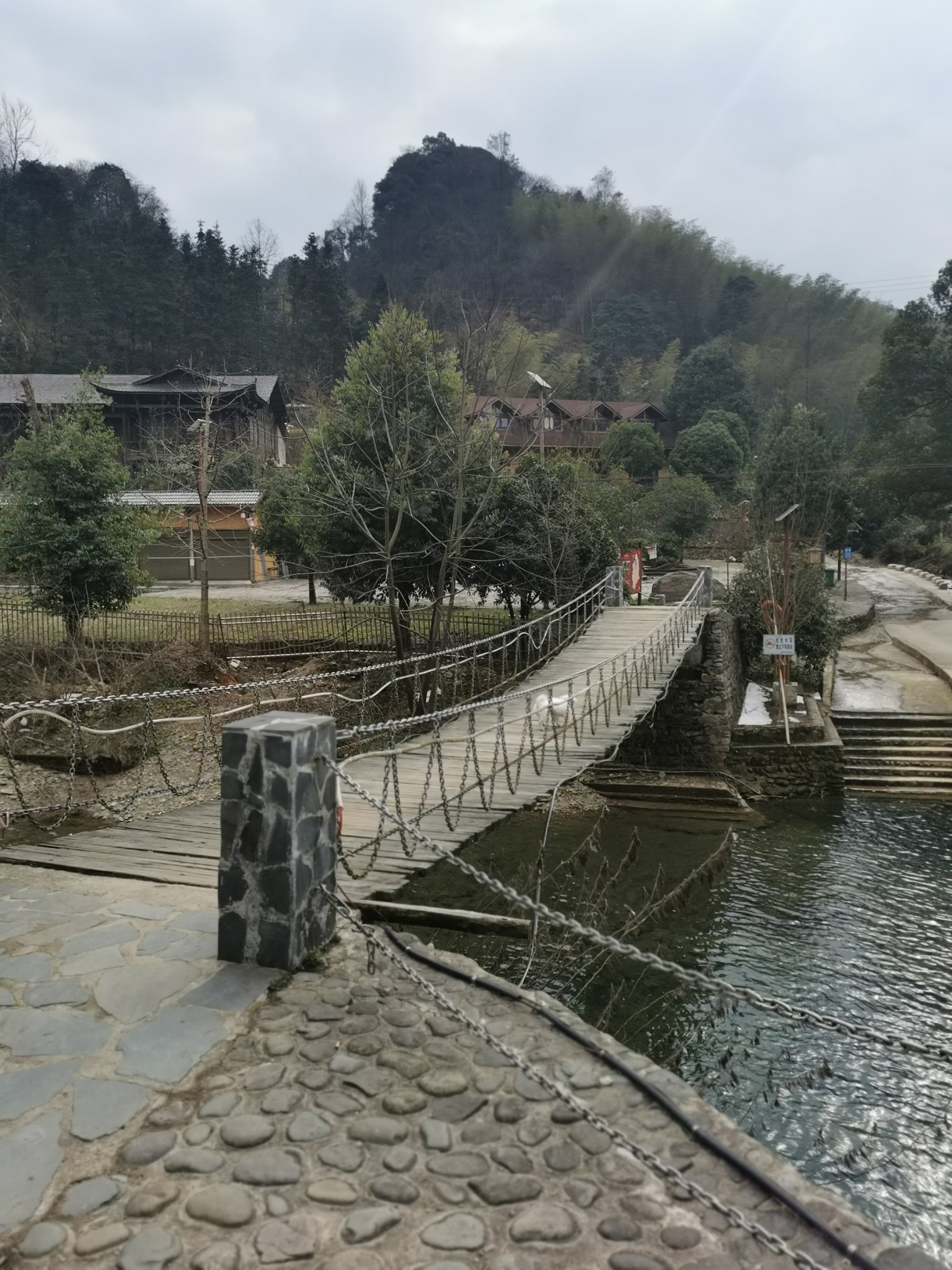 桃花在线观看视频桃花盛开，在线观看视频的美丽之旅-第2张图片